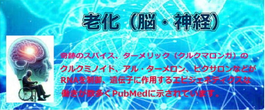 奇跡のスパイス「ターメリック（クルクマロンガ）」 治療の領域で出来ないことは、ほとんどありません。