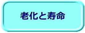 老化と寿命（ボタン）