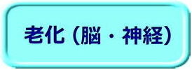 老化（脳・神経）ボタン