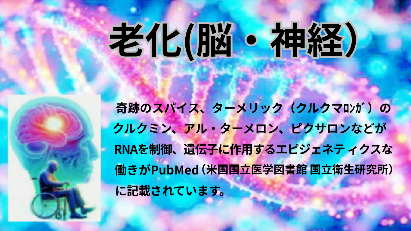 奇跡のスパイス「ターメリック（クルクマロンガ）」 治療の領域で出来ないことは、ほとんどありません。